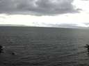 ./images/koeye/fitz-hugh/20160624/fitz-hugh20160624_170302.jpg