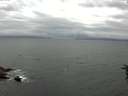 ./images/koeye/fitz-hugh/20160624/fitz-hugh20160624_183301.jpg
