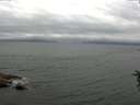 ./images/koeye/fitz-hugh/20160624/fitz-hugh20160624_190302.jpg