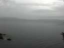 ./images/koeye/fitz-hugh/20160625/fitz-hugh20160625_060004.jpg