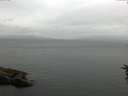 ./images/koeye/fitz-hugh/20160625/fitz-hugh20160625_080004.jpg