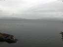 ./images/koeye/fitz-hugh/20160625/fitz-hugh20160625_080302.jpg