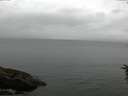 ./images/koeye/fitz-hugh/20160625/fitz-hugh20160625_090302.jpg