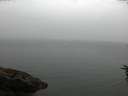 ./images/koeye/fitz-hugh/20160625/fitz-hugh20160625_100302.jpg