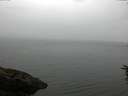 ./images/koeye/fitz-hugh/20160625/fitz-hugh20160625_103302.jpg