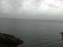 ./images/koeye/fitz-hugh/20160625/fitz-hugh20160625_110303.jpg