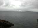 ./images/koeye/fitz-hugh/20160625/fitz-hugh20160625_121803.jpg