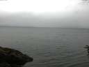 ./images/koeye/fitz-hugh/20160625/fitz-hugh20160625_122402.jpg