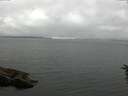 ./images/koeye/fitz-hugh/20160625/fitz-hugh20160625_140302.jpg