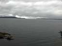 ./images/koeye/fitz-hugh/20160625/fitz-hugh20160625_153302.jpg