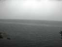 ./images/koeye/fitz-hugh/20160625/fitz-hugh20160625_170301.jpg