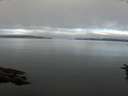 ./images/koeye/fitz-hugh/20160626/fitz-hugh20160626_080004.jpg
