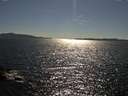./images/koeye/fitz-hugh/20160626/fitz-hugh20160626_170302.jpg