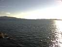 ./images/koeye/fitz-hugh/20160626/fitz-hugh20160626_190302.jpg