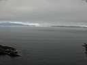 ./images/koeye/fitz-hugh/20160627/fitz-hugh20160627_083302.jpg