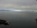 ./images/koeye/fitz-hugh/20160627/fitz-hugh20160627_090301.jpg