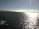 ./images/koeye/fitz-hugh/20160627/fitz-hugh20160627_180302.jpg