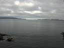 ./images/koeye/fitz-hugh/20160628/fitz-hugh20160628_080303.jpg