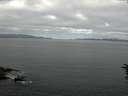 ./images/koeye/fitz-hugh/20160628/fitz-hugh20160628_083303.jpg