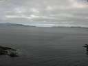./images/koeye/fitz-hugh/20160628/fitz-hugh20160628_090303.jpg