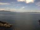 ./images/koeye/fitz-hugh/20160628/fitz-hugh20160628_113302.jpg