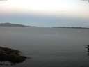 ./images/koeye/fitz-hugh/20160629/fitz-hugh20160629_050301.jpg