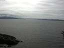 ./images/koeye/fitz-hugh/20160629/fitz-hugh20160629_160003.jpg