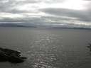 ./images/koeye/fitz-hugh/20160629/fitz-hugh20160629_163303.jpg