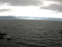 ./images/koeye/fitz-hugh/20160629/fitz-hugh20160629_190302.jpg