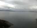 ./images/koeye/fitz-hugh/20160630/fitz-hugh20160630_050302.jpg