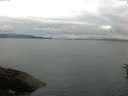 ./images/koeye/fitz-hugh/20160630/fitz-hugh20160630_053302.jpg