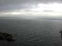 ./images/koeye/fitz-hugh/20160630/fitz-hugh20160630_080006.jpg