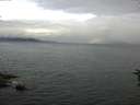 ./images/koeye/fitz-hugh/20160630/fitz-hugh20160630_093302.jpg