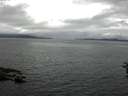 ./images/koeye/fitz-hugh/20160630/fitz-hugh20160630_113303.jpg