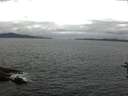 ./images/koeye/fitz-hugh/20160630/fitz-hugh20160630_120302.jpg