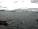 ./images/koeye/fitz-hugh/20160630/fitz-hugh20160630_122101.jpg