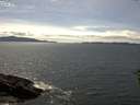 ./images/koeye/fitz-hugh/20160630/fitz-hugh20160630_153302.jpg