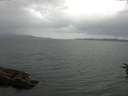 ./images/koeye/fitz-hugh/20160701/fitz-hugh20160701_080005.jpg