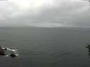 ./images/koeye/fitz-hugh/20160701/fitz-hugh20160701_122103.jpg