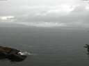 ./images/koeye/fitz-hugh/20160701/fitz-hugh20160701_153301.jpg