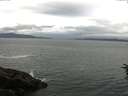 ./images/koeye/fitz-hugh/20160702/fitz-hugh20160702_080004.jpg