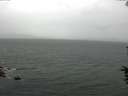 ./images/koeye/fitz-hugh/20160702/fitz-hugh20160702_120006.jpg