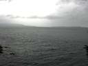 ./images/koeye/fitz-hugh/20160702/fitz-hugh20160702_130302.jpg