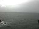 ./images/koeye/fitz-hugh/20160702/fitz-hugh20160702_133302.jpg