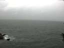 ./images/koeye/fitz-hugh/20160702/fitz-hugh20160702_140303.jpg