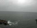 ./images/koeye/fitz-hugh/20160702/fitz-hugh20160702_153302.jpg