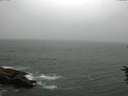 ./images/koeye/fitz-hugh/20160702/fitz-hugh20160702_170301.jpg