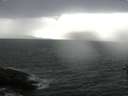 ./images/koeye/fitz-hugh/20160702/fitz-hugh20160702_180004.jpg