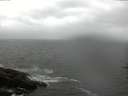 ./images/koeye/fitz-hugh/20160703/fitz-hugh20160703_090302.jpg