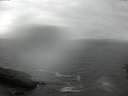 ./images/koeye/fitz-hugh/20160703/fitz-hugh20160703_093302.jpg